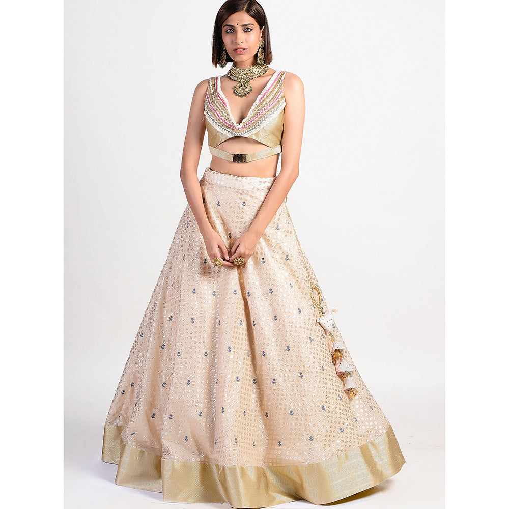 Rishi & Vibhuti Antique Rose Ivory Embroidered Lehenga With Blouse (Set of 2)