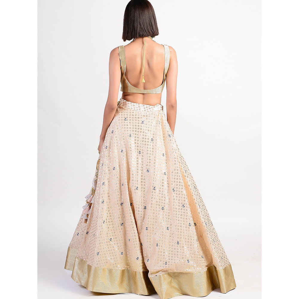 Rishi & Vibhuti Antique Rose Ivory Embroidered Lehenga With Blouse (Set of 2)