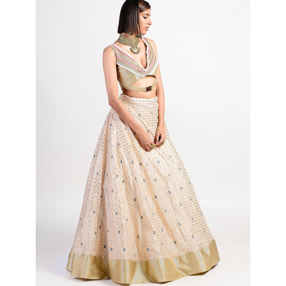 Rishi & Vibhuti Antique Rose Ivory Embroidered Lehenga With Blouse (Set of 2)
