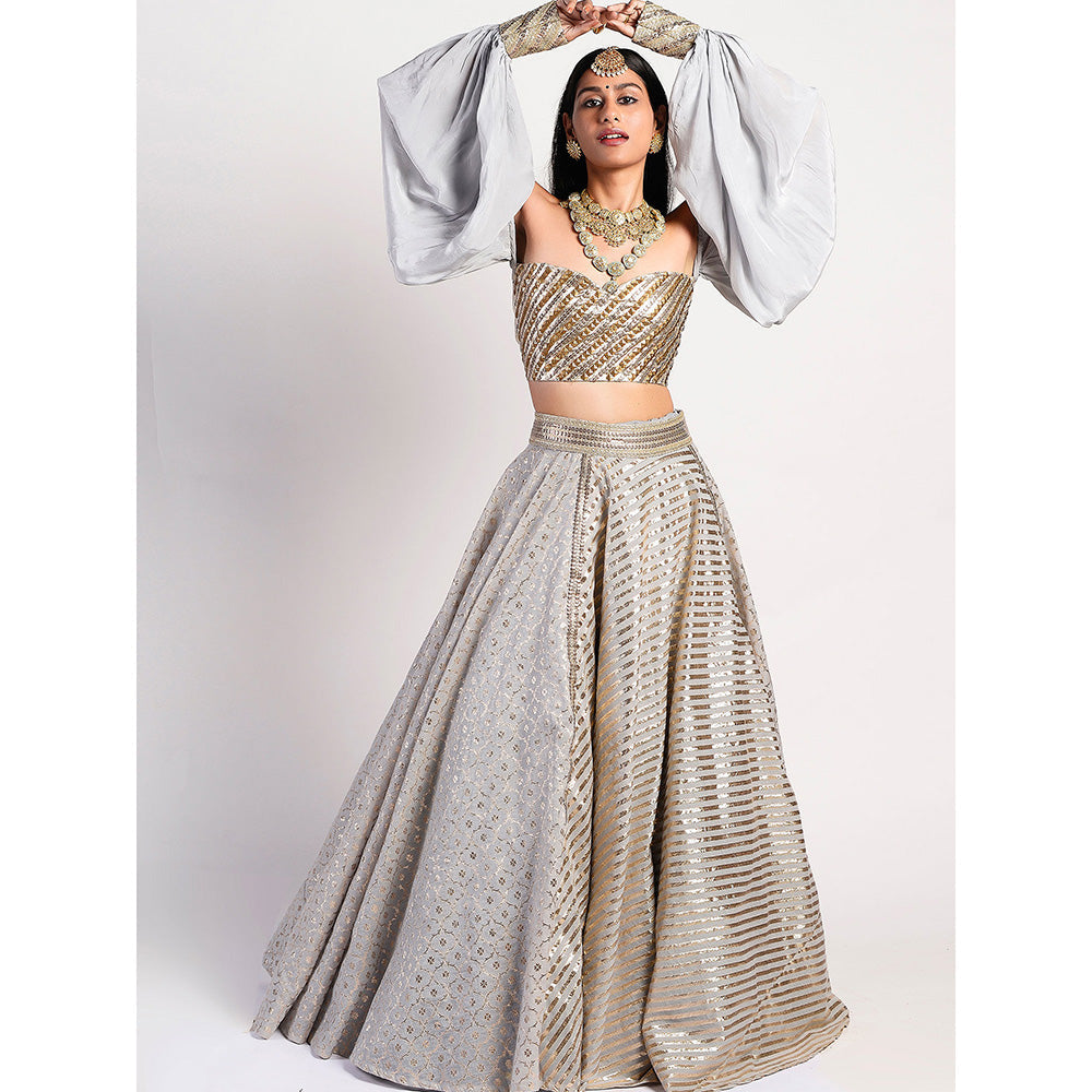 Rishi & Vibhuti Silver Drop Embellished Lehenga With Blouse (Set of 2)