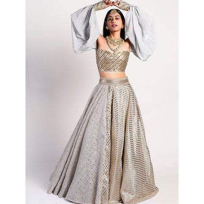 Rishi & Vibhuti Silver Drop Embellished Lehenga With Blouse (Set of 2)