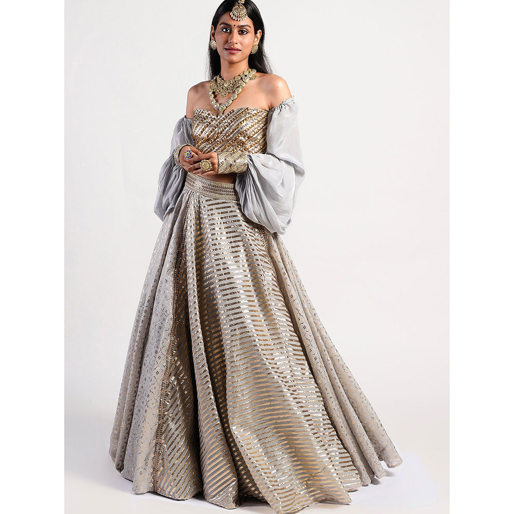 Rishi & Vibhuti Silver Drop Embellished Lehenga With Blouse (Set of 2)