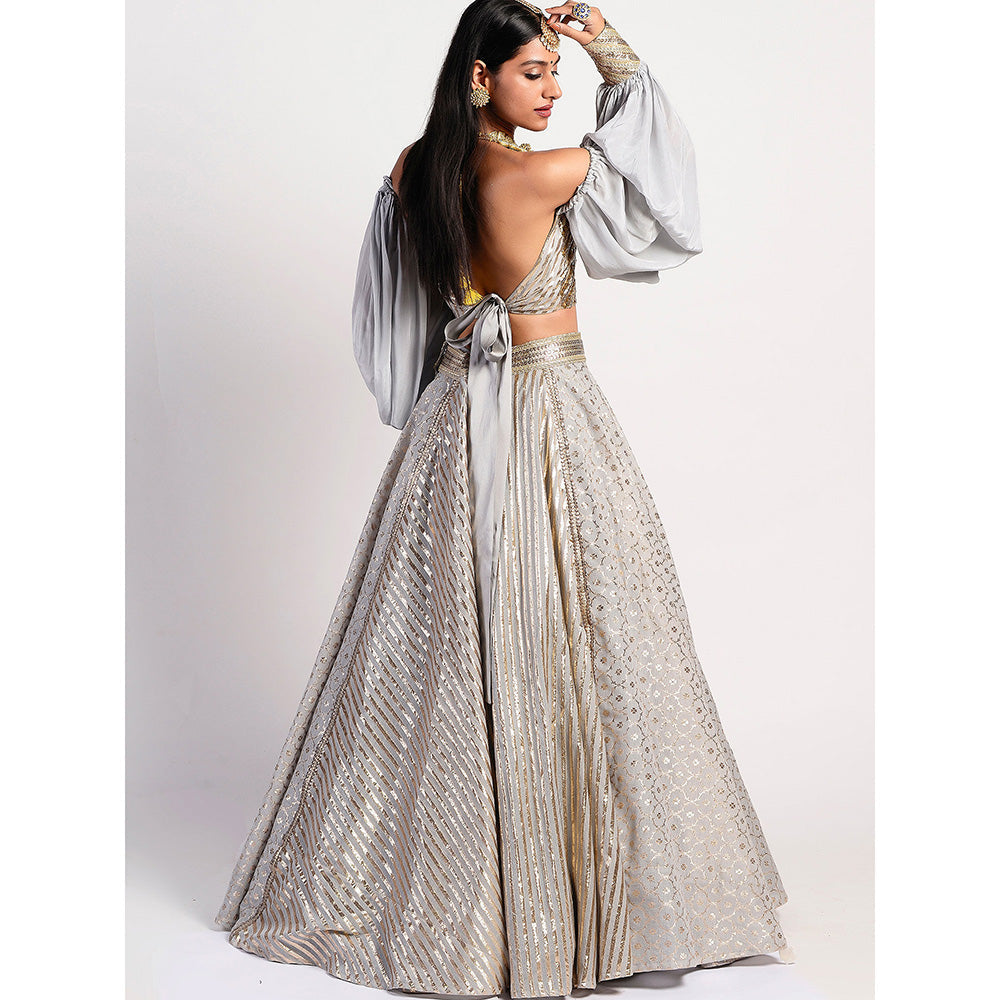 Rishi & Vibhuti Silver Drop Embellished Lehenga With Blouse (Set of 2)