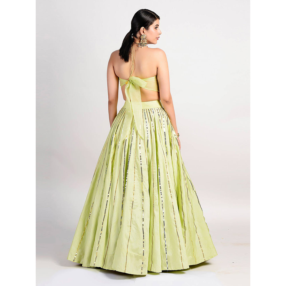 Rishi & Vibhuti Frisco Green Lehenga And Blouse (Set of 2)