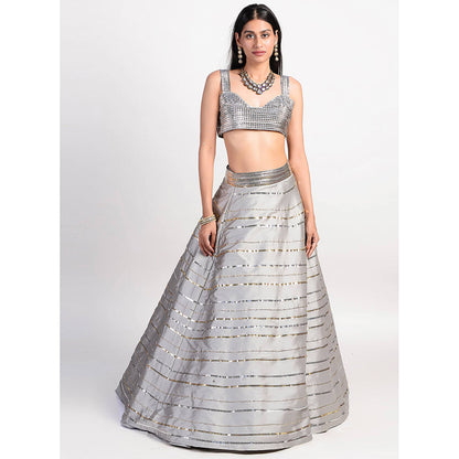 Rishi & Vibhuti Grey Stardust Outshine Lehenga And Blouse (Set of 2)