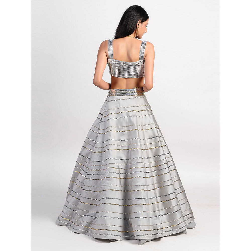 Rishi & Vibhuti Grey Stardust Outshine Lehenga And Blouse (Set of 2)