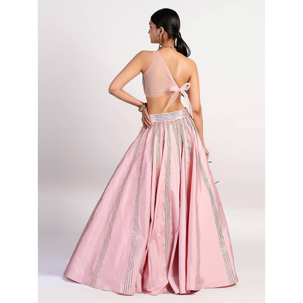 Rishi & Vibhuti Stereo Pink Lehenga And Blouse (Set of 2)