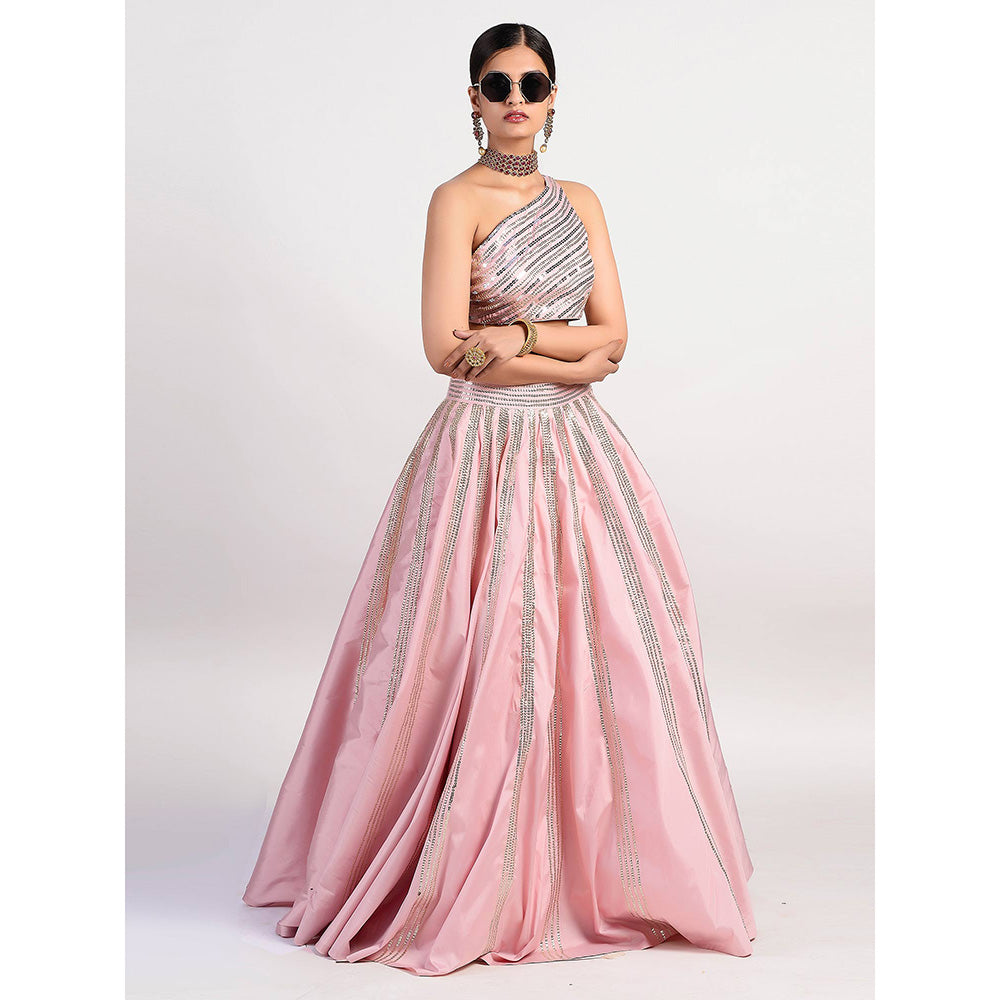 Rishi & Vibhuti Stereo Pink Lehenga And Blouse (Set of 2)