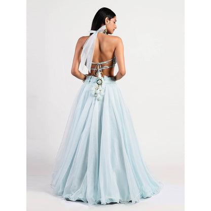 Rishi & Vibhuti Blue Elgian Lehenga And Blouse (Set of 2)