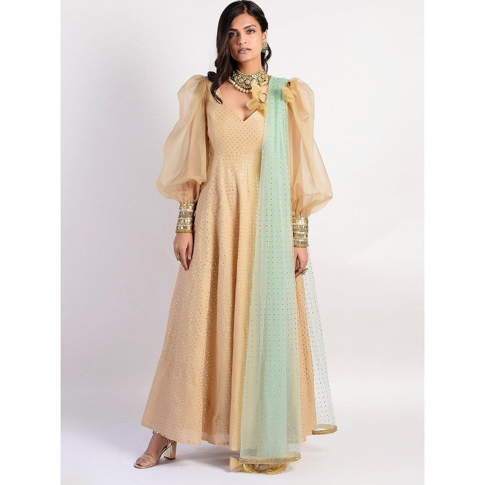 Rishi & Vibhuti Gold Printed Anarkali And Dupatta (Set of 2)