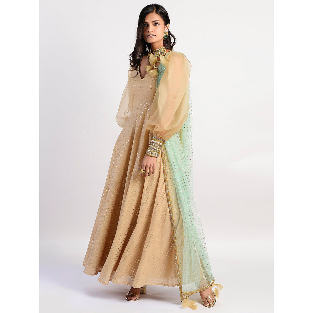 Rishi & Vibhuti Gold Printed Anarkali And Dupatta (Set of 2)