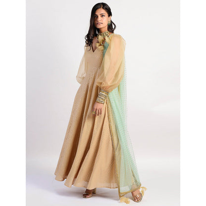 Rishi & Vibhuti Gold Printed Anarkali And Dupatta (Set of 2)