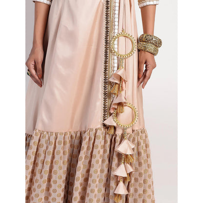 Rishi & Vibhuti Peach Embellished Dress