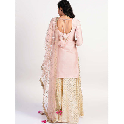 Rishi & Vibhuti Pink Embellished Kurta And Skirt With Dupatta (Set of 3)
