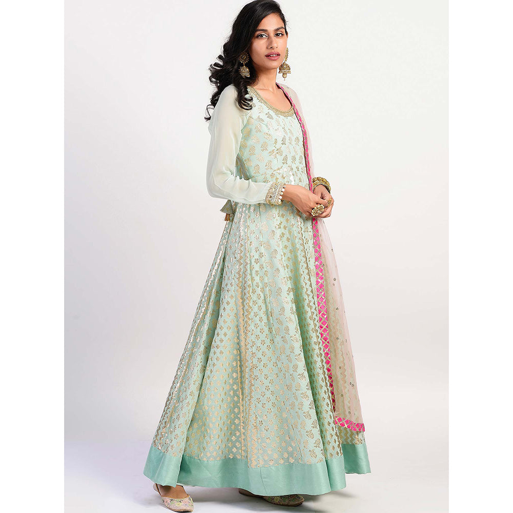Rishi & Vibhuti Green Printed Anarkali And Dupatta (Set of 2)