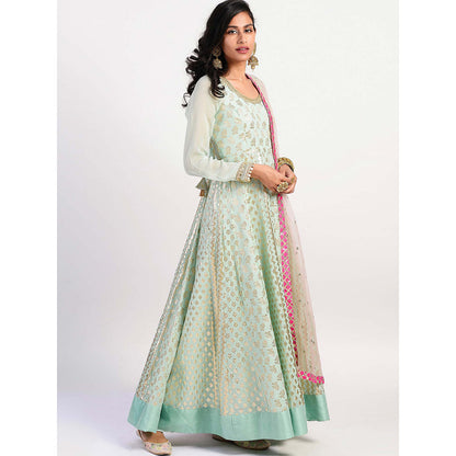 Rishi & Vibhuti Green Printed Anarkali And Dupatta (Set of 2)