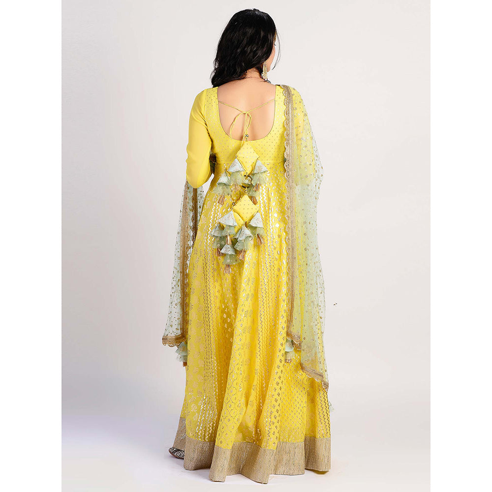 Rishi & Vibhuti yellow Printed Anarkali And Dupatta (Set of 2)