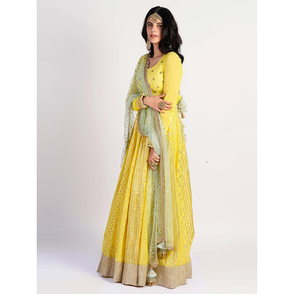 Rishi & Vibhuti yellow Printed Anarkali And Dupatta (Set of 2)