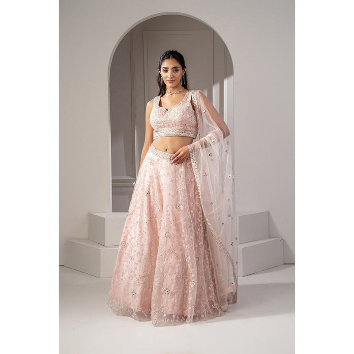 RIYAASAT Peach Net Lehenga with Mirror Embellishments with Blouse and Dupatta (Set of 3)