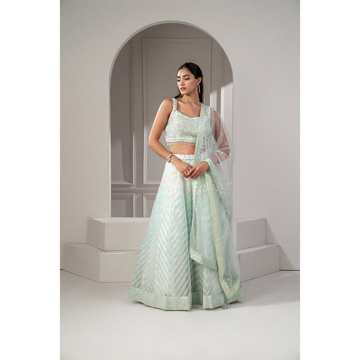 RIYAASAT Green Net Lehenga with Stone Embellishments with Blouse and Dupatta (Set of 3)