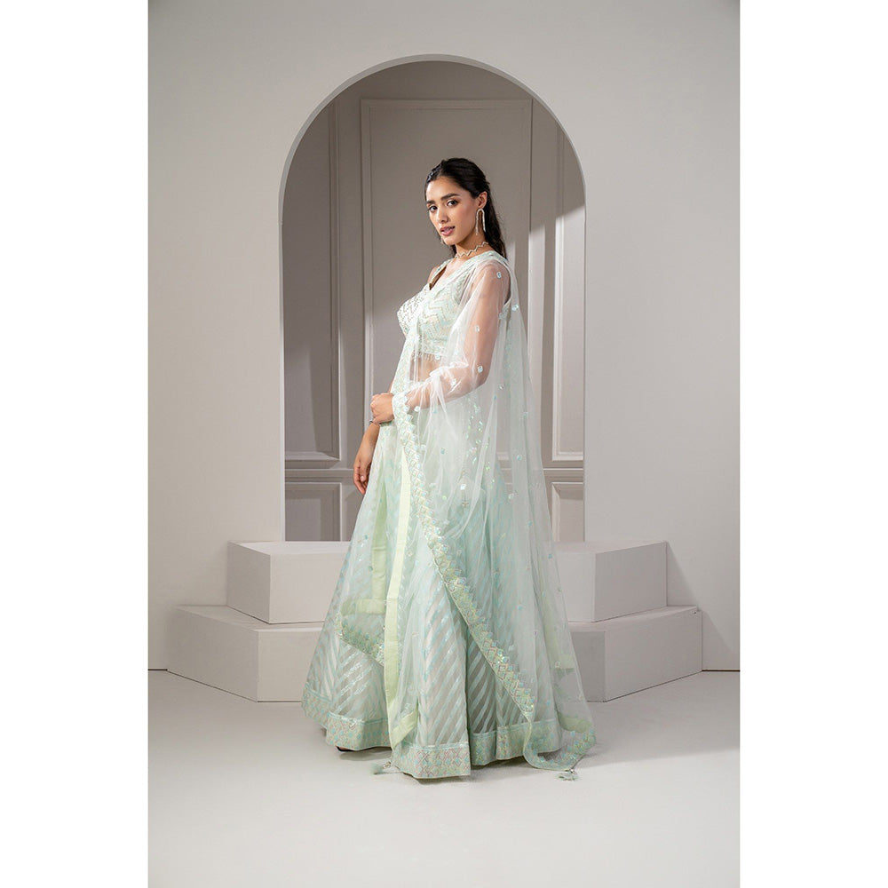 RIYAASAT Green Net Lehenga with Stone Embellishments with Blouse and Dupatta (Set of 3)