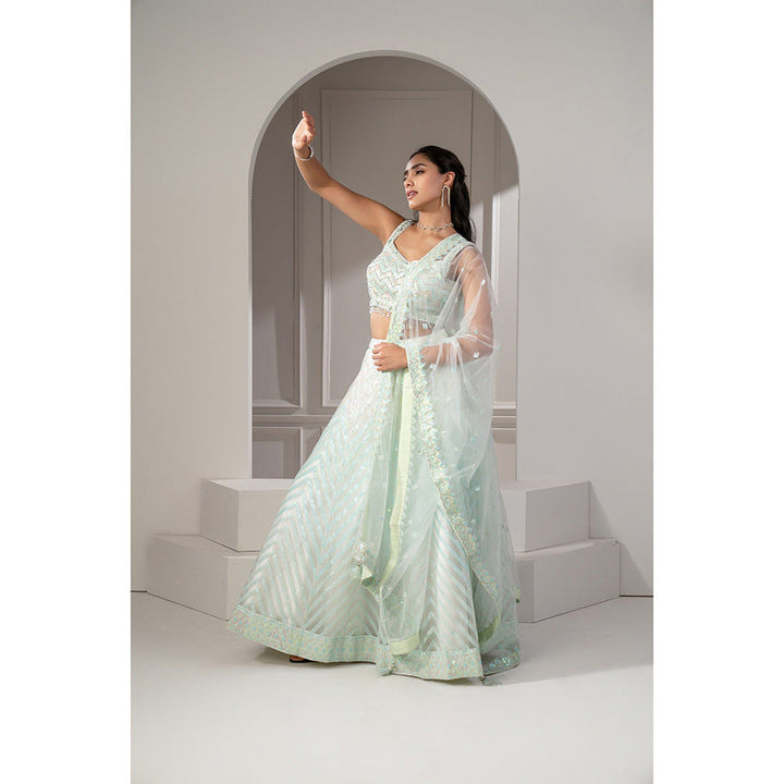 RIYAASAT Green Net Lehenga with Stone Embellishments with Blouse and Dupatta (Set of 3)