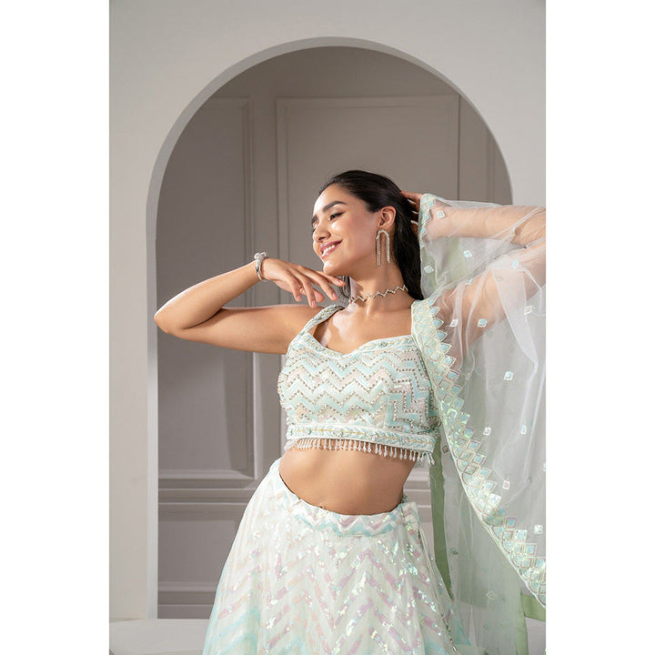 RIYAASAT Green Net Lehenga with Stone Embellishments with Blouse and Dupatta (Set of 3)