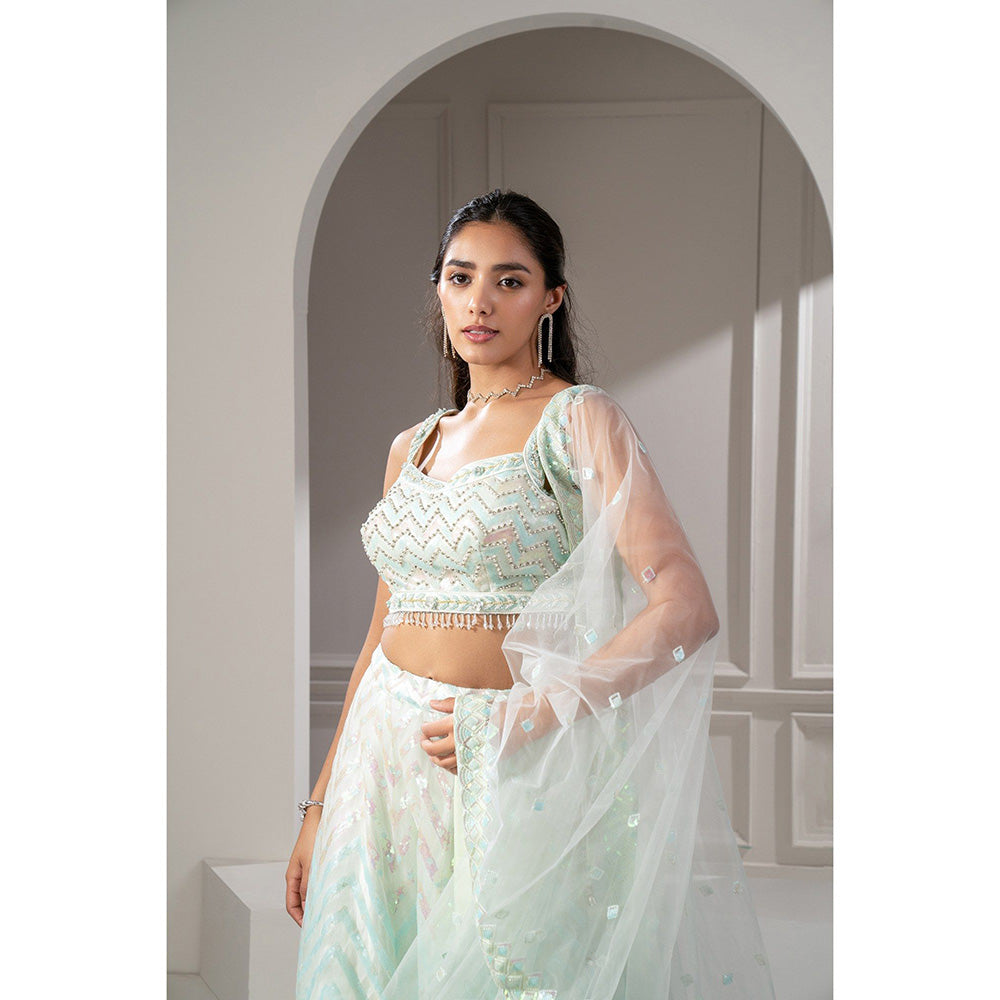 RIYAASAT Green Net Lehenga with Stone Embellishments with Blouse and Dupatta (Set of 3)