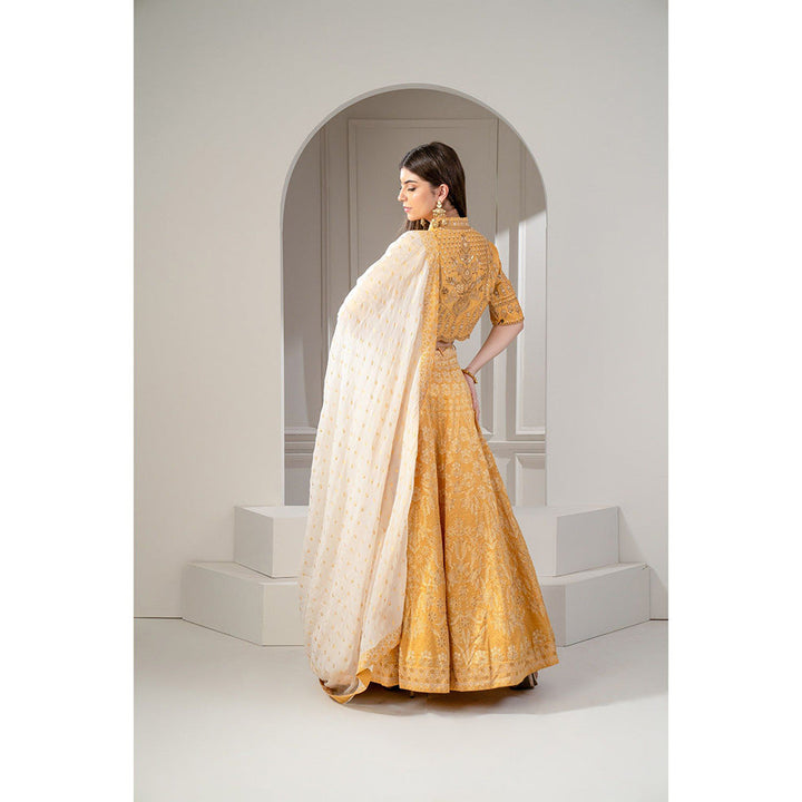 RIYAASAT Yellow Satin Silk Emroidered Indo Western Lehanga with Blouse and Dupatta (Set of 3)