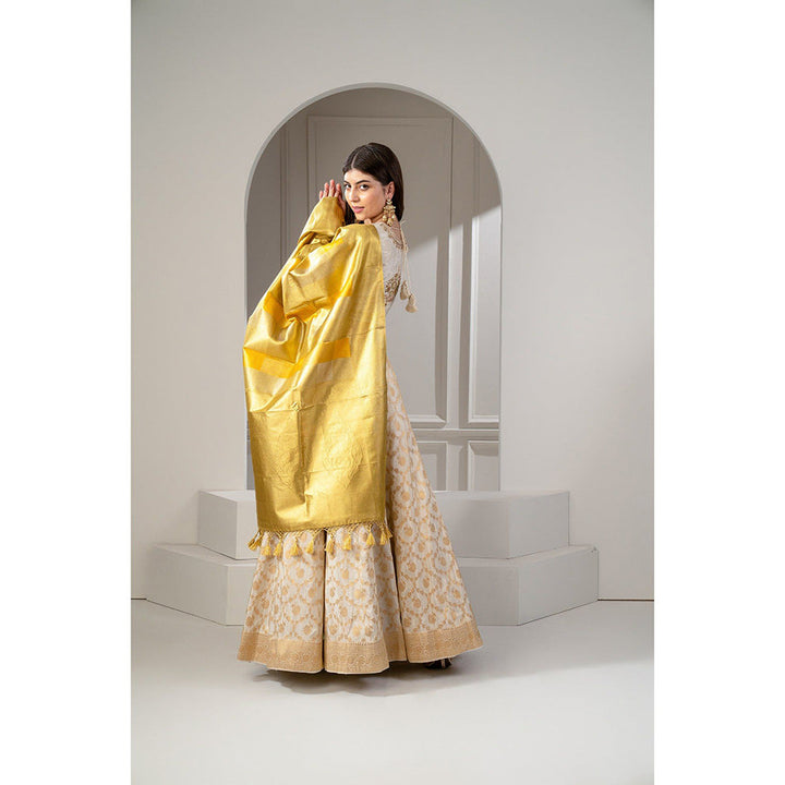 RIYAASAT Beige Banarasi Silk Zari Embroidered Lehenga with Blouse and Dupatta (Set of 3)