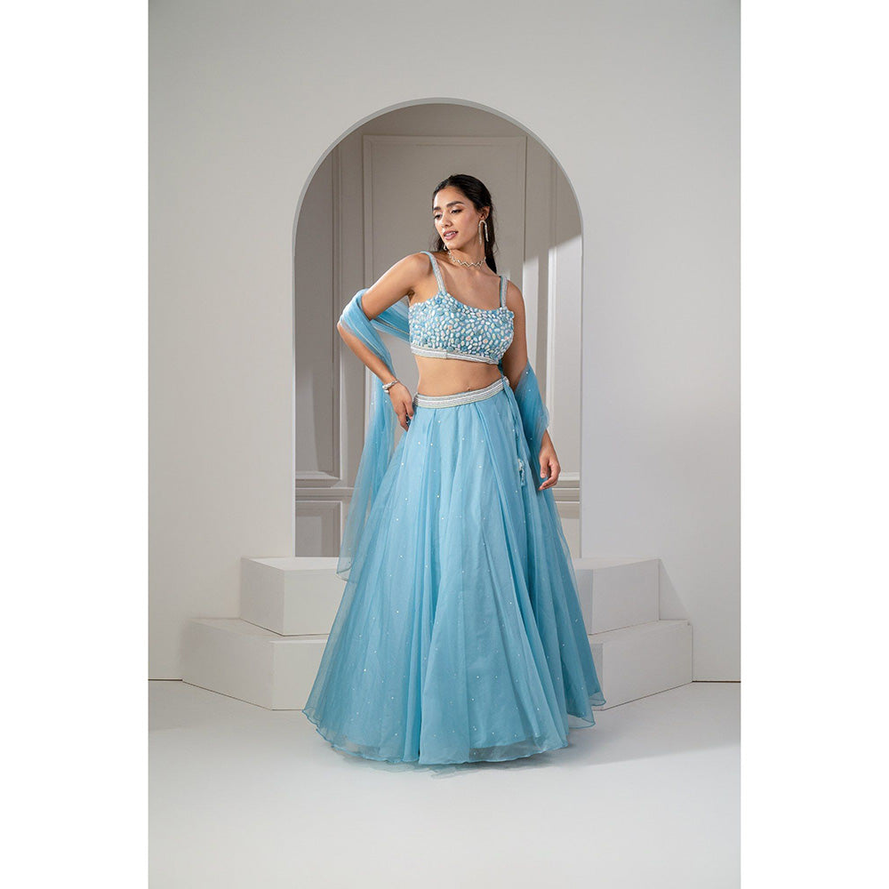 RIYAASAT Frost Blue Organza Sequinned Lehenga with Blouse and Dupatta (Set of 3)