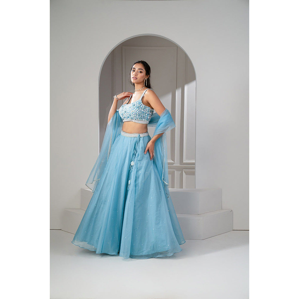 RIYAASAT Frost Blue Organza Sequinned Lehenga with Blouse and Dupatta (Set of 3)