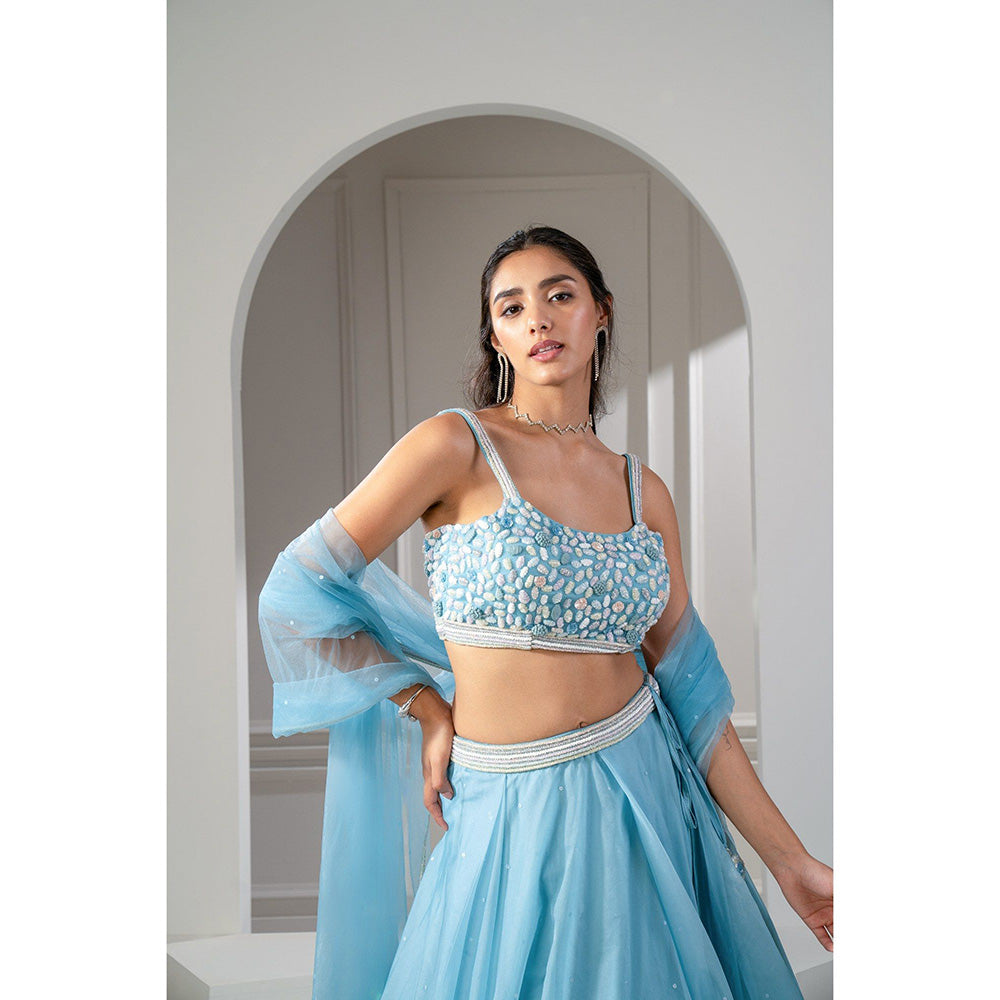 RIYAASAT Frost Blue Organza Sequinned Lehenga with Blouse and Dupatta (Set of 3)