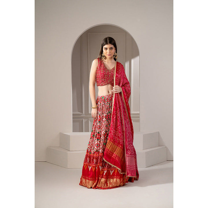 RIYAASAT Crimson Red Silk Chaniya Patola Lehenga with Blouse and Dupatta (Set of 3)