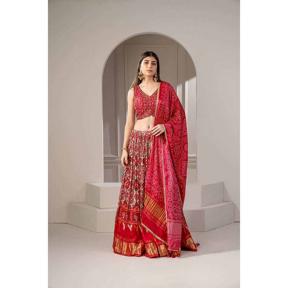 RIYAASAT Crimson Red Silk Chaniya Patola Lehenga with Blouse and Dupatta (Set of 3)