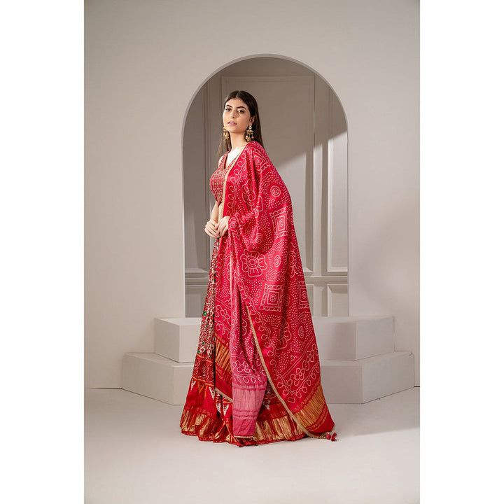 RIYAASAT Crimson Red Silk Chaniya Patola Lehenga with Blouse and Dupatta (Set of 3)