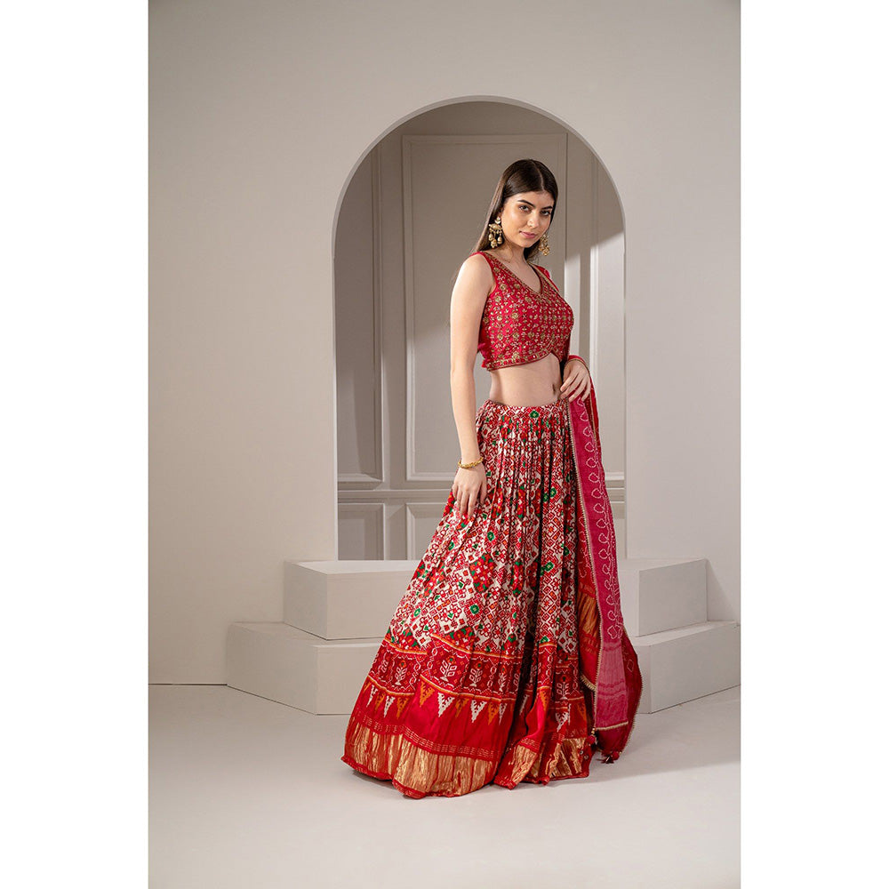 RIYAASAT Crimson Red Silk Chaniya Patola Lehenga with Blouse and Dupatta (Set of 3)