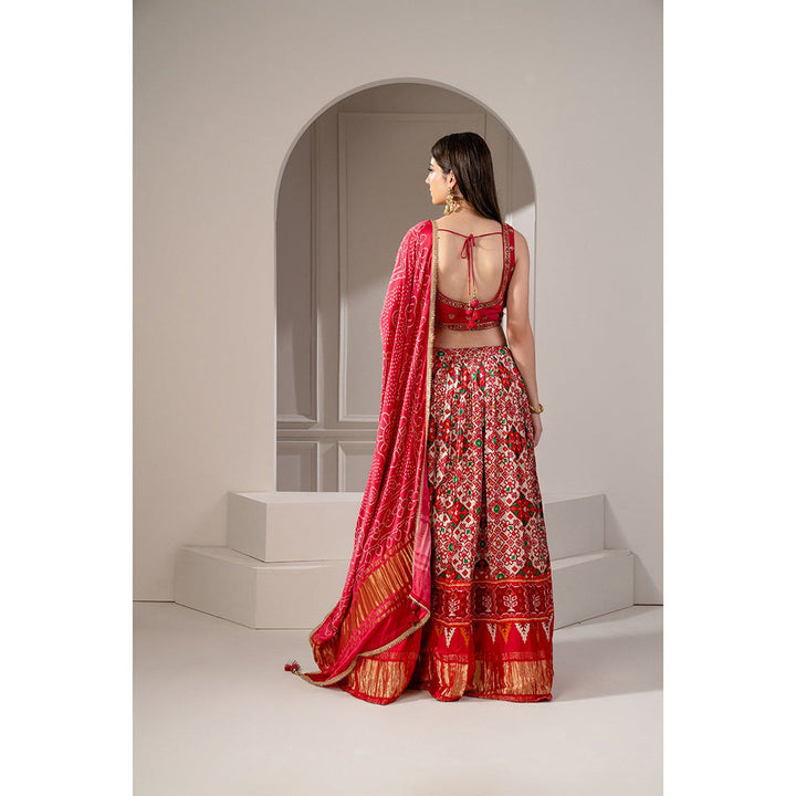 RIYAASAT Crimson Red Silk Chaniya Patola Lehenga with Blouse and Dupatta (Set of 3)