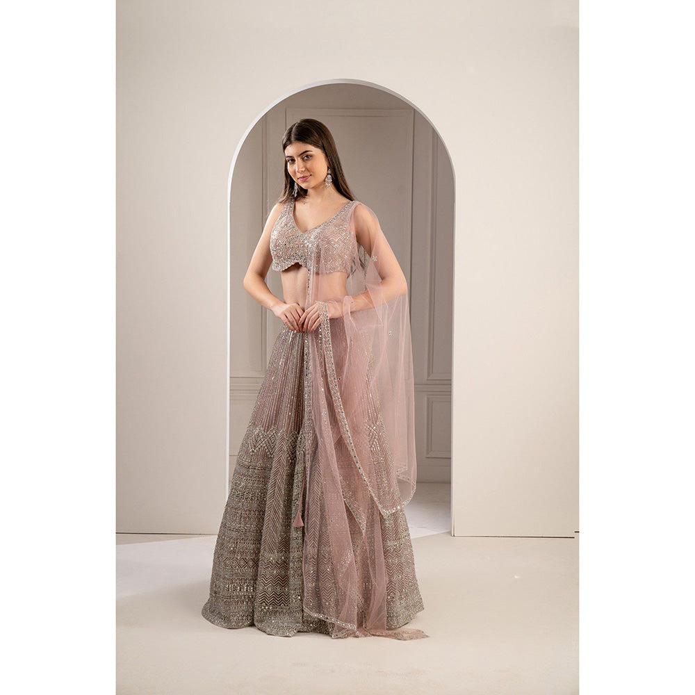 RIYAASAT Peach Rose Heavily Embroidered Net Lehenga with Blouse and Dupatta (Set of 3)