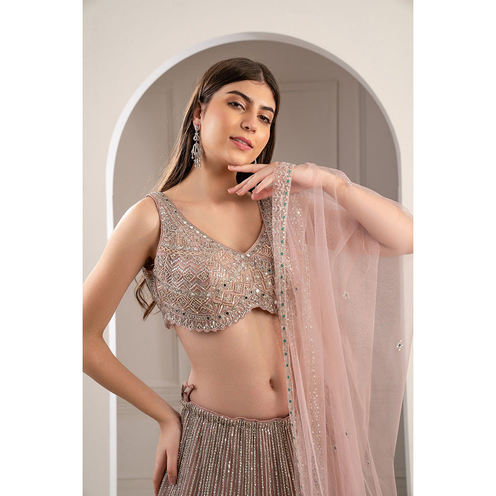 RIYAASAT Peach Rose Heavily Embroidered Net Lehenga with Blouse and Dupatta (Set of 3)