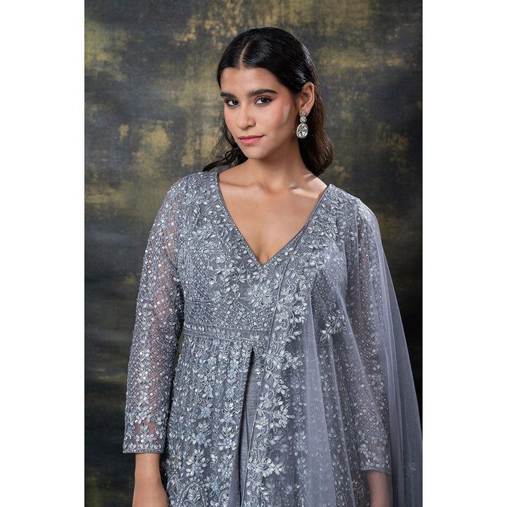 RIYAASAT Grey Heavily Embroidered Net Indo-Western Gown with Dupatta (Set of 2)