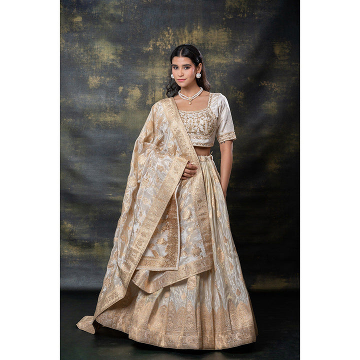 RIYAASAT Beige Banarasi Soft Silk Machine Work Lehenga with Blouse and Dupatta (Set of 3)