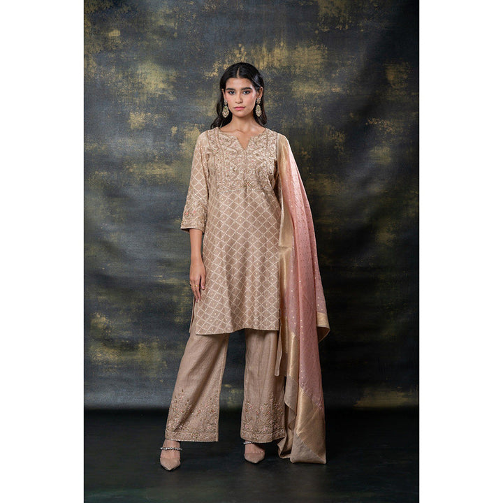 RIYAASAT Brown Sequins and Zari Embellished Soft Silk Kurta with Pant and Dupatta (Set of 3)