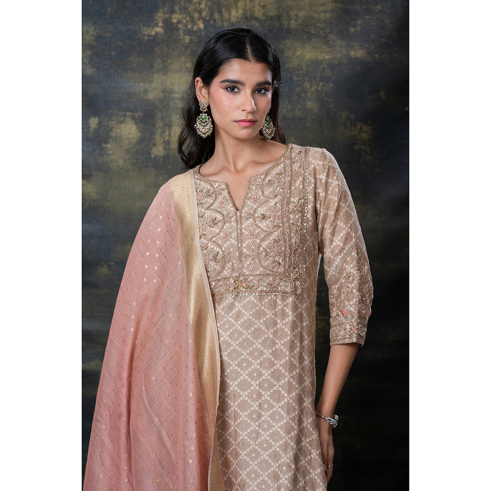 RIYAASAT Brown Sequins and Zari Embellished Soft Silk Kurta with Pant and Dupatta (Set of 3)