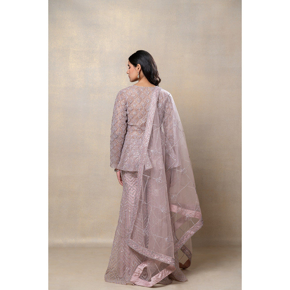 RIYAASAT Rose Gold Designer Net Indo-Western Co-Ord (Set of 3)