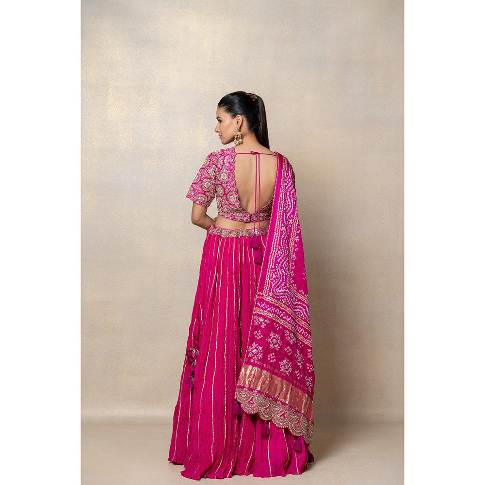 RIYAASAT Magenta Pink Sequinned Crepe Silk Lehenga with Blouse and Dupatta (Set of 3)