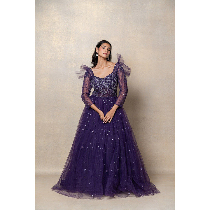 RIYAASAT Violet Purple Sequinned Net Gown