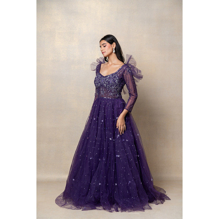 RIYAASAT Violet Purple Sequinned Net Gown