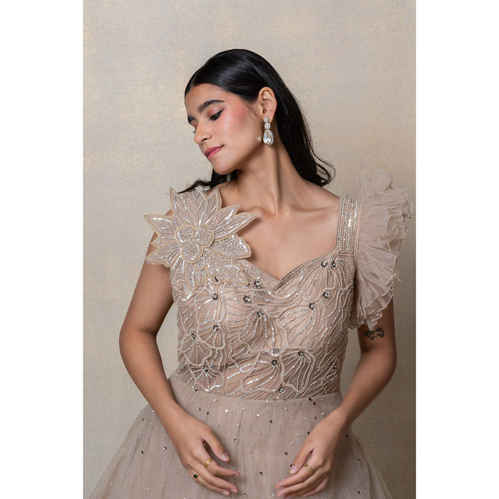 RIYAASAT Tortilla Brown Sequinned Net Gown