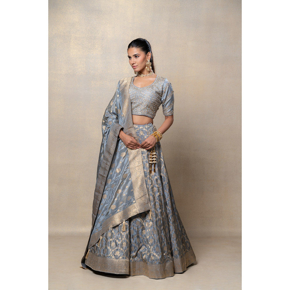 RIYAASAT Metallic Silver Soft Silk Lehenga with Blouse and Dupatta (Set of 3)